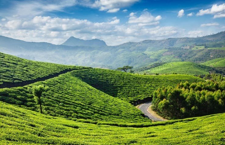 Kerala Hills